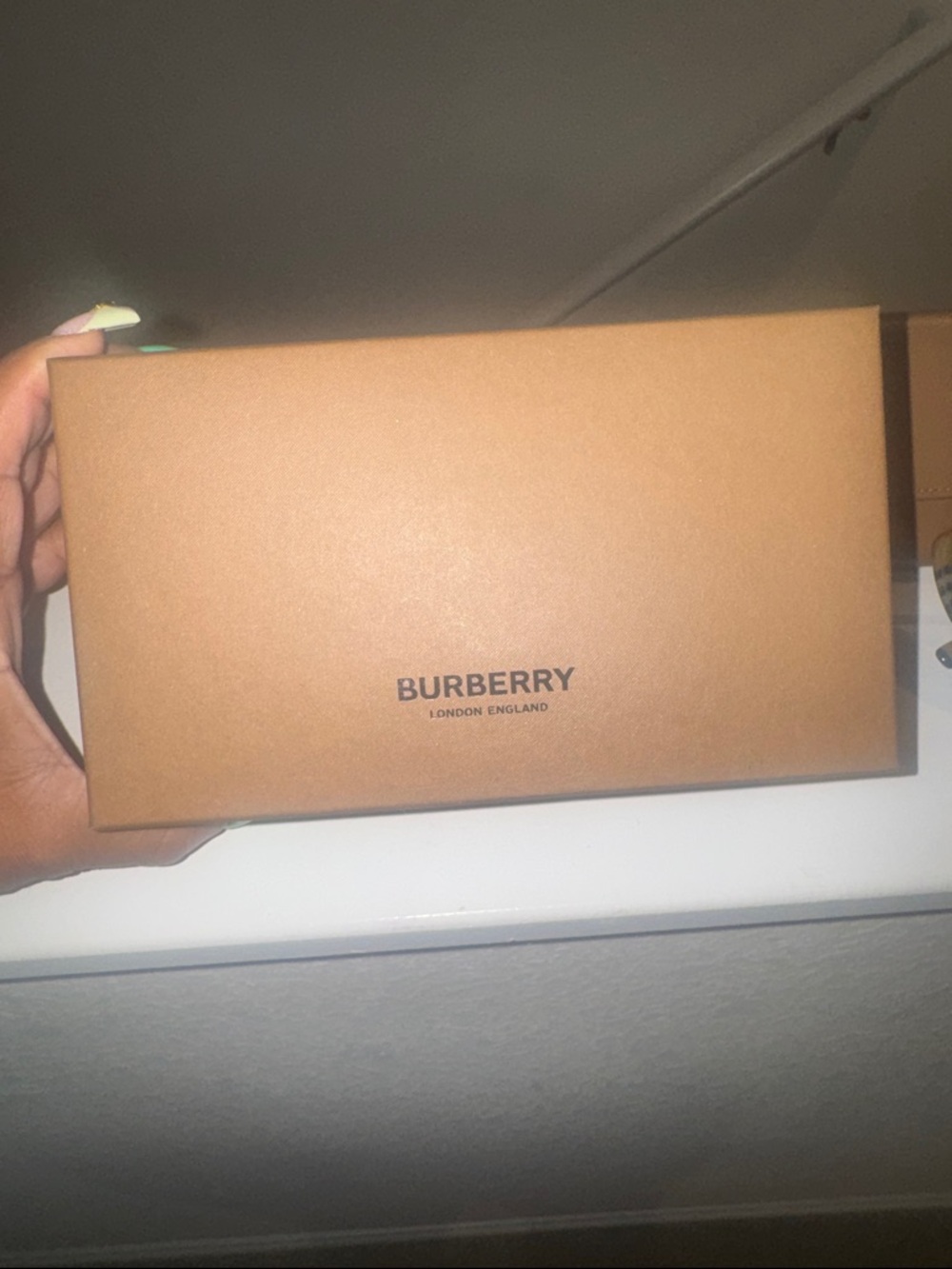 Burberry Beige and Black Striped Sunglass Arm with Plaid Accent - Picture 7 of 9